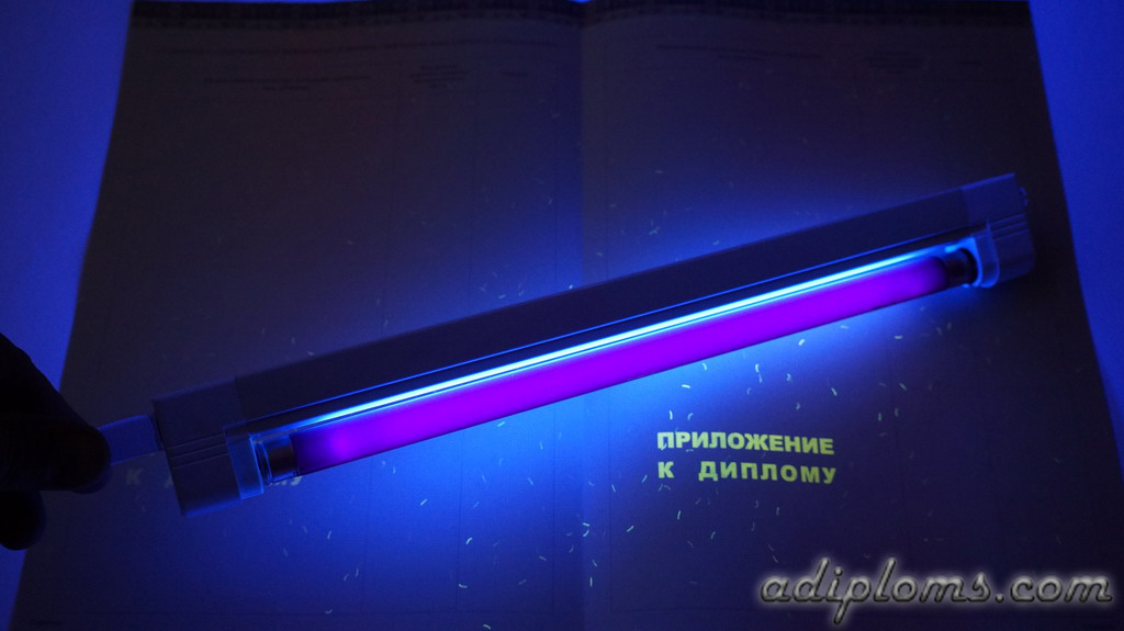 Диплом бакалавра 2014-2025 Фото